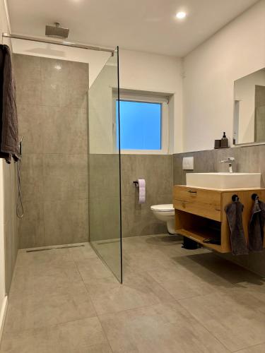 a bathroom with a glass shower and a sink at LA-Hüttenfeld Erdgeschoss Apartment in Lampertheim