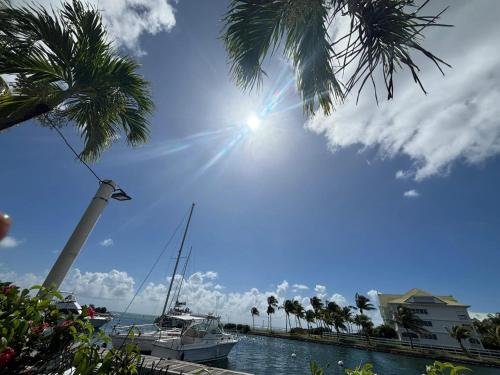 a palm tree and a boat in the water at Studio moderne à Saint-François, 38 m² avec piscine in Saint-François
