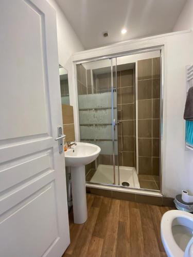 a bathroom with a shower and a sink at Manoir de Bolbec in Bolbec