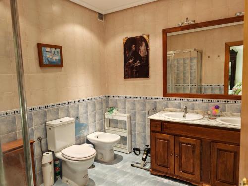 een badkamer met een toilet, een wastafel en een spiegel bij VIRGEN de ALFILERITOS in Toledo