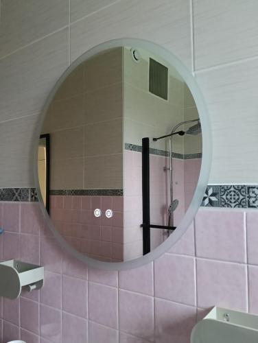 a bathroom with a mirror and a shower at La Gilbertine in Louze