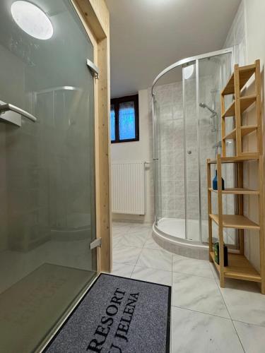 a bathroom with a shower and a walk in shower at Resort U Jelena in Křivoklát