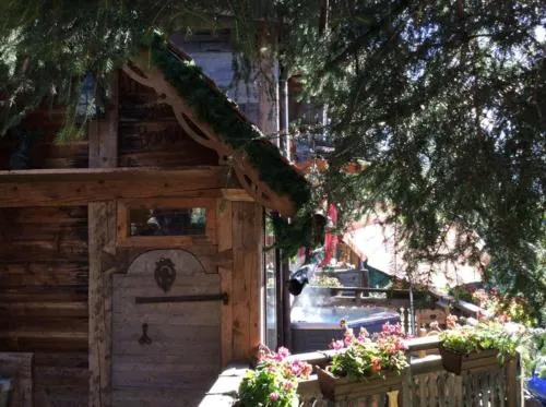 Hôtel Les Chalets de Philippe avec Jacuzzis Privatifs photo 20