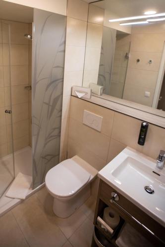ein Badezimmer mit Toilette, Dusche und Waschbecken in der Unterkunft Stadtoase Kolping Hotel Linz in Linz