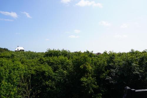 a house on top of a hill with trees at villa Flore, studio's in Bergen aan Zee