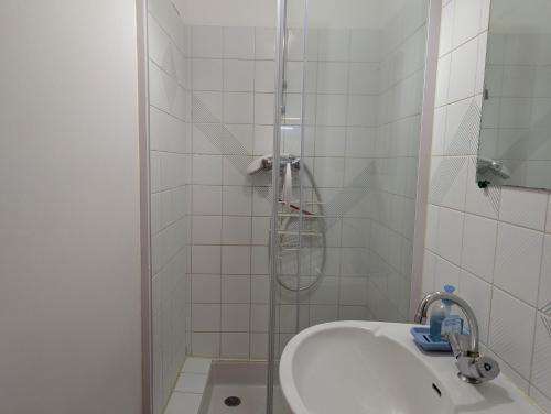 a bathroom with a shower and a sink at "Chambre 2", Ferme de la Volière in Gidy