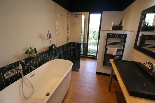 a bathroom with a tub and a sink and a shower at Chambre "Argentine", Le Clos des Poulies in La Ferté-Saint-Aubin