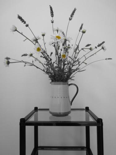 a vase filled with flowers sitting on a table at B&B Tobia in Cave