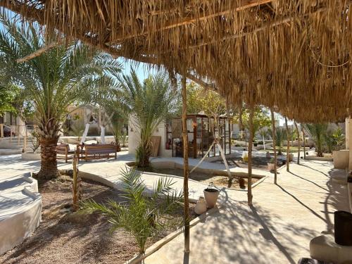 O grădină în afara Moon_Valley_Siwa