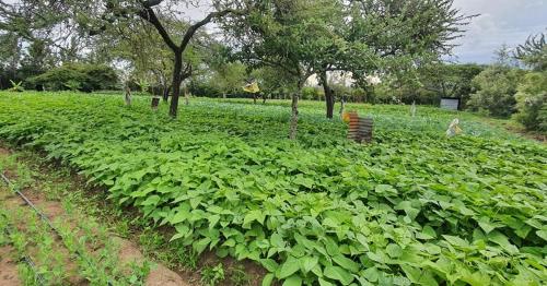 حديقة خارج Vota Ranch Luxury Villa Stay & Nature Retreat