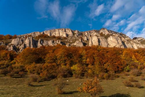 Φυσικό τοπίο κοντά σε αυτό το μοτέλ