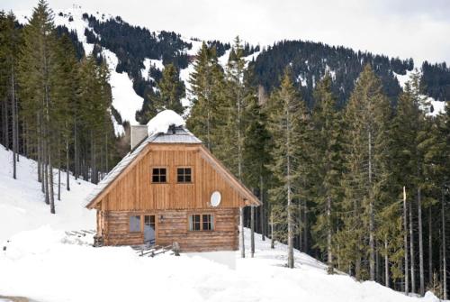 a small wooden cabin in the snow with trees at Kuhgrabenhütte in Klippitztorl