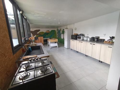 a kitchen with a stove top oven in a room at kaz'manou in Saint-Benoît