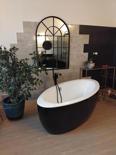 Le jardin de Christine في Vinneuf: حوض استحمام في غرفة مع نبات الفخار