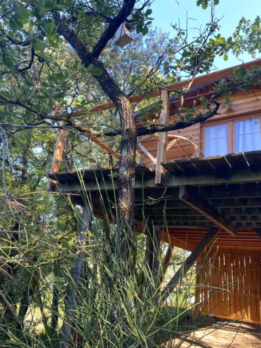 Φωτογραφία από το άλμπουμ του Cabane & Dîner Gourmet Inclus σε Barjols