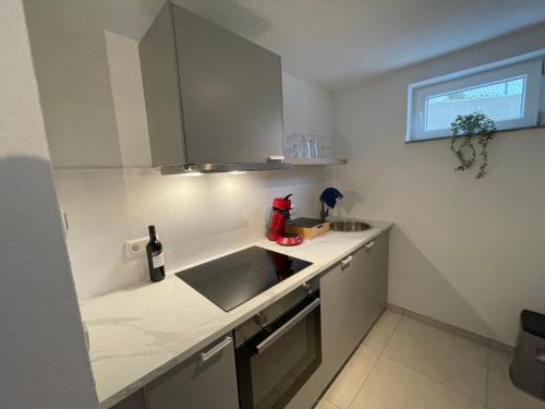 Kuchyň nebo kuchyňský kout v ubytování Premium-Apartment, 4 Betten, Nahe Ulm für Familien und Gruppen,Hund