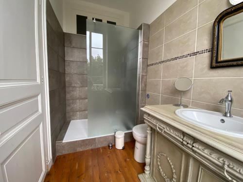 a bathroom with a shower and a sink and a toilet at Le Relais d'Angély in Saint-Jean-dʼAngély