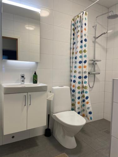 a bathroom with a toilet and a sink and a shower at Gästhuset i Åre in Åre