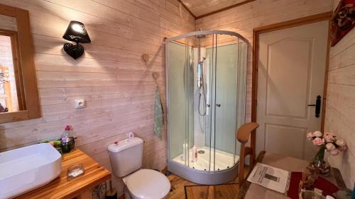 a bathroom with a shower and a toilet at Cabane & Dîner Gourmet Inclus in Barjols