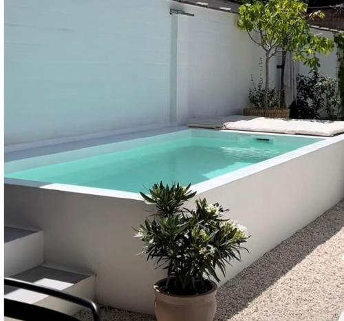 Bazén v ubytování OLIA STUDIOS Olga studios nebo v jeho okolí