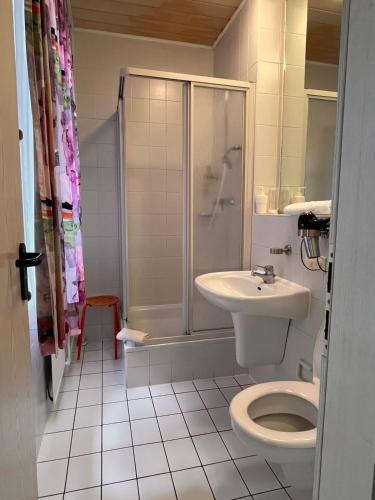 a bathroom with a toilet and a shower and a sink at Ferien Wohnung in Chemnitz