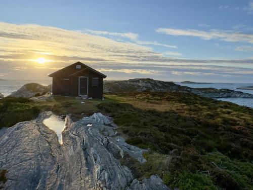 Naturlandskabet i nærheden af lejligheden
