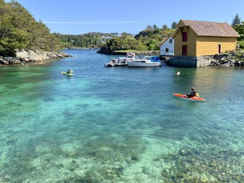 Naturlandskabet i nærheden af lejligheden