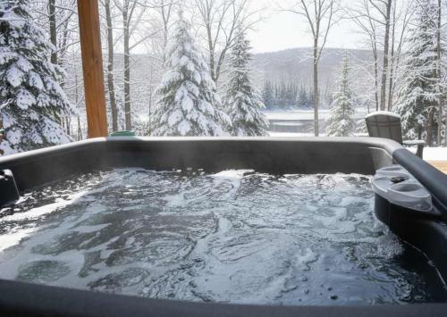 Spa and Lakefront - Oasis des chutes في Lac-Saint-Paul: حوض جاكوزي مع أشجار مغطاة بالثلوج