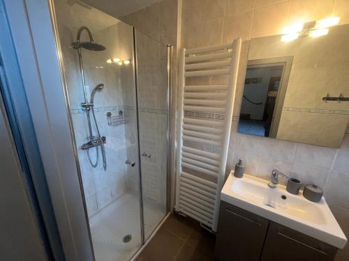een badkamer met douche, wastafel en spiegel bij La Vigne in Pelissous