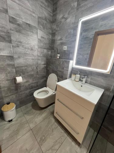 een badkamer met een toilet, een wastafel en een spiegel bij Il Teatro in Oradea