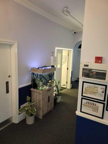 a room with plants in a room with a room with aiger at Nysdill Accommodation in Norwich