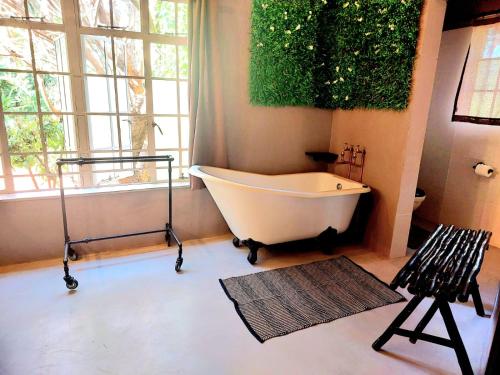 Ảnh trong thư viện ảnh của Lion's Guesthouse and The Buck&Lion Restaurant ở Groblersdal