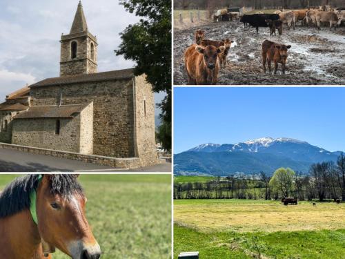 un collage di immagini di cavalli e di una chiesa di La Maison du Fleuve a Ur