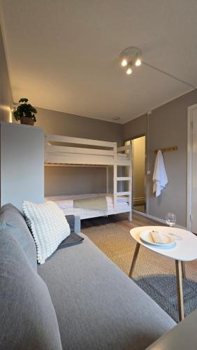 a room with a couch and a bed and a table at Tingsryd Resort in Tingsryd