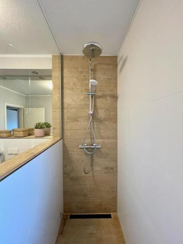 a shower stall in a bathroom with a mirror at Dresden Rooftop Apartment mit 2 Balkone, Stellplatz, Top Anbindung in Dresden