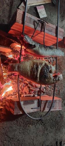 a dead fish sitting on top of a bench at Sapung homestay Bảo Lộc in Blao Srê