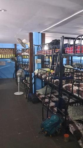 a room with a bunch of bunk beds at Backpackers Inn in Panaji