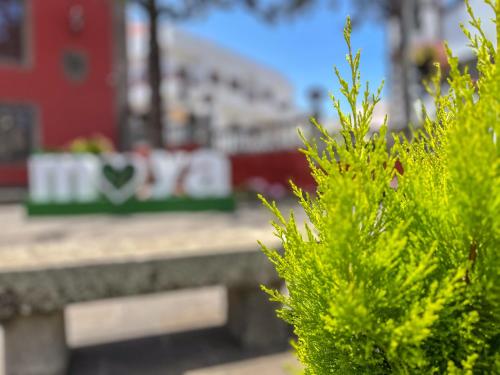 3 Suites Simon Millan - Heart of Moya