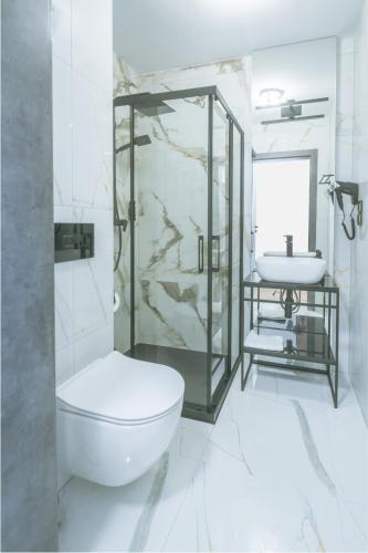 a bathroom with a shower and a toilet and a sink at SkyHel Apartament in Hel