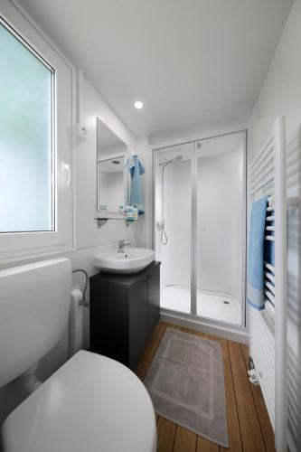 a bathroom with a toilet and a sink and a shower at KNAUS Campingpark Nassau in Nassau