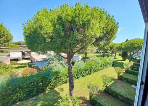 Zahrada ubytování Apartment Asfodeli in Marina di Bibbona just 250 mt from the sea