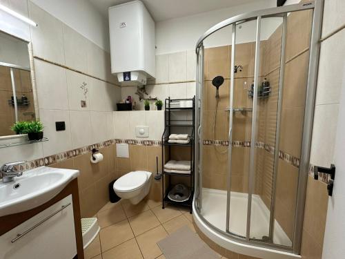 un bagno con doccia, WC e lavandino di Studio 39 a Vrchlabí