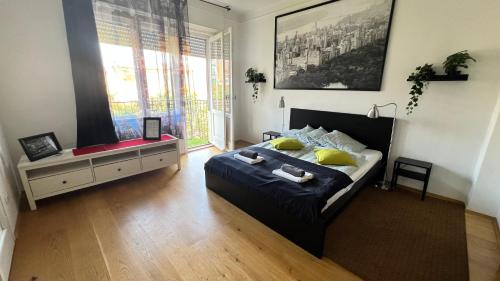 Little Americas Central Park