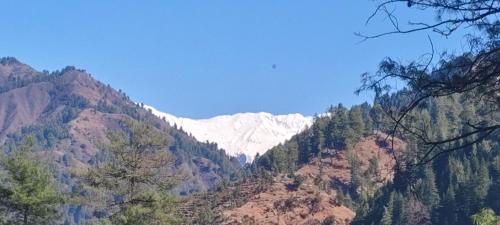 Naturlandskabet i nærheden af campingpladsen