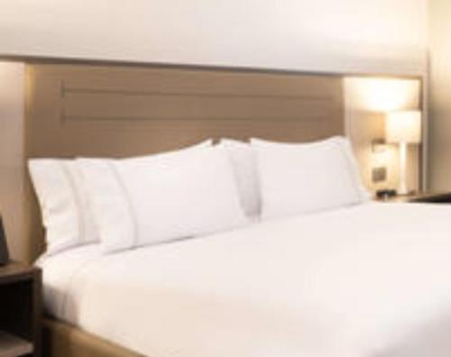 Una cama o camas en una habitación de Hotel elegante