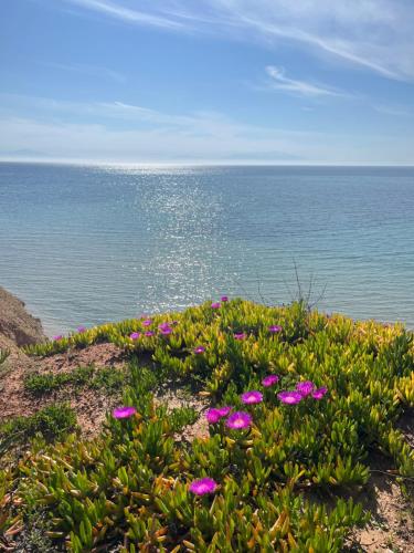 Příroda nedaleko prázdninového domu