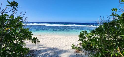 Naturlandskabet i nærheden af feriehuset