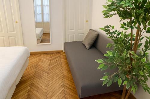 dHomes - Apartments and Rooms