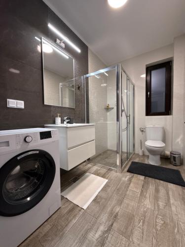 a bathroom with a washing machine and a toilet at The View Apartment 3 Bușteni in Buşteni