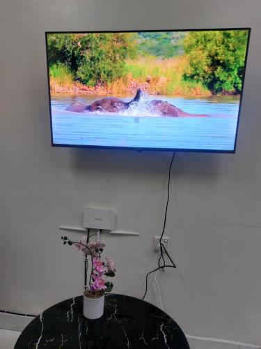 Et tv og/eller underholdning på Poshpalace homes, Mombasa CBD,